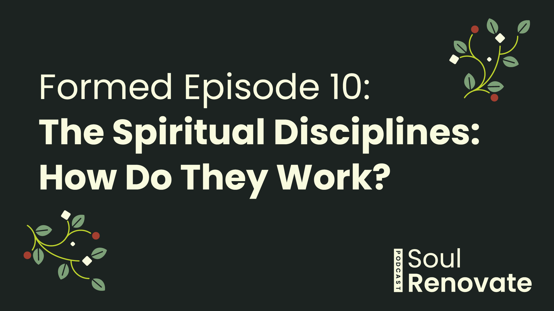 The Spiritual Disciplines: How Do They Work? - Formed E10
