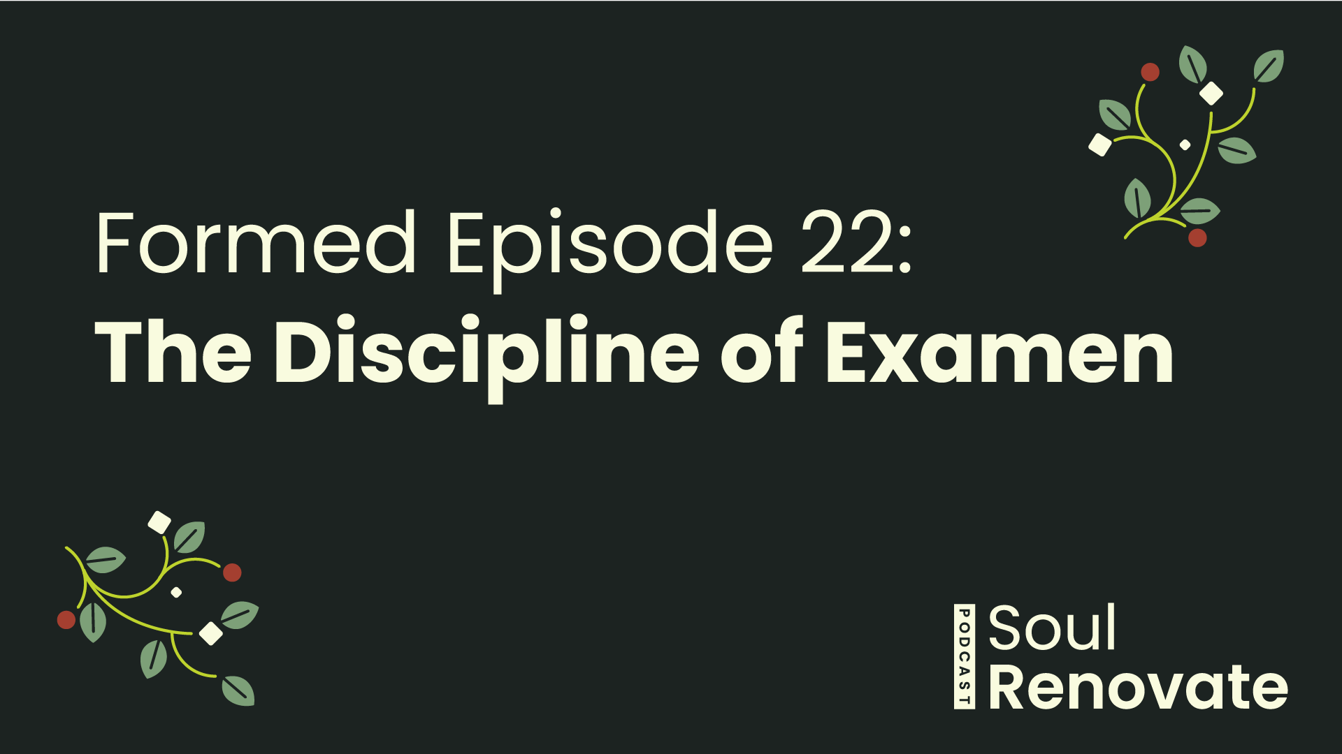 The Discipline of Examen - Formed E22